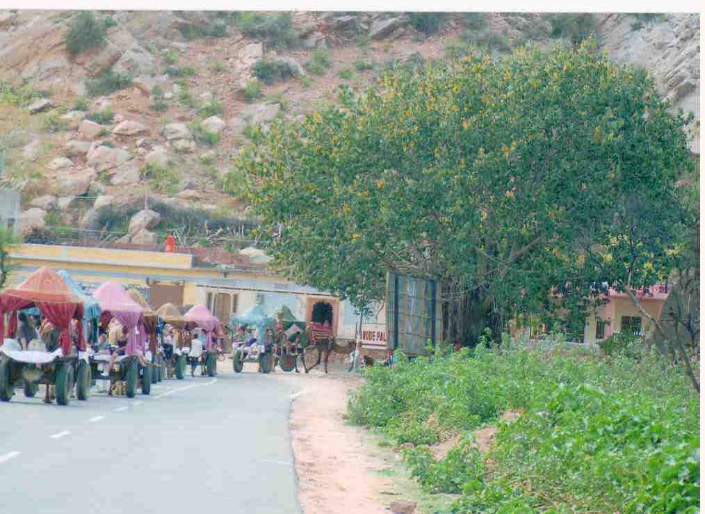 Image from Gala Dinner - Samode Palace